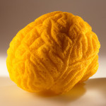 Sponge Brain Model - Lloyd's Register